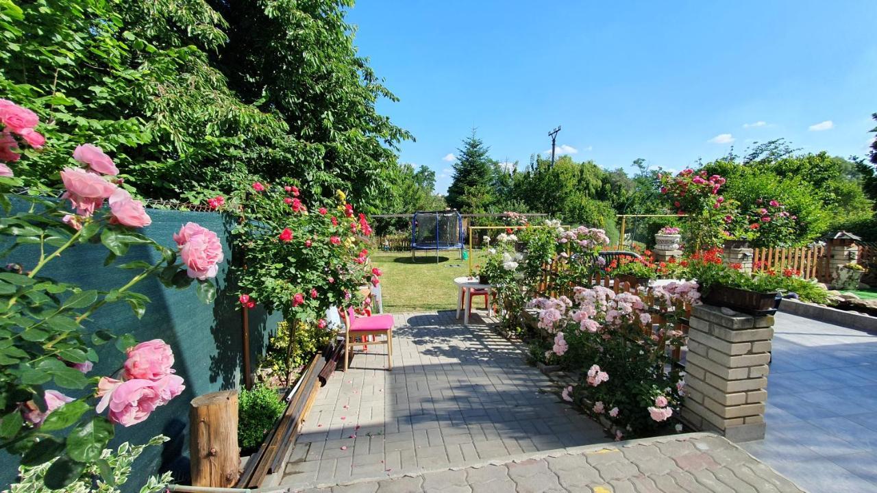 David Home 56 Znojmo Exterior foto