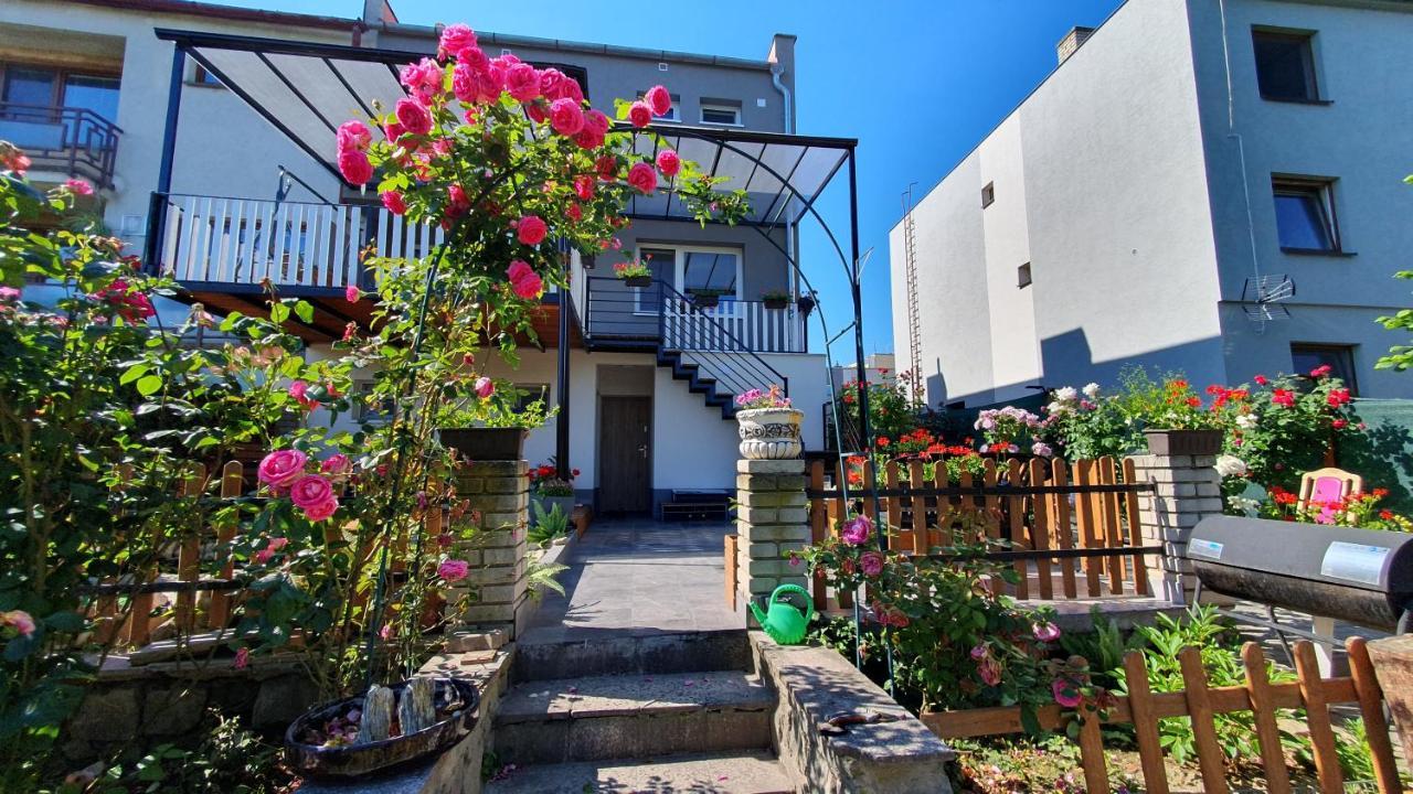 David Home 56 Znojmo Exterior foto