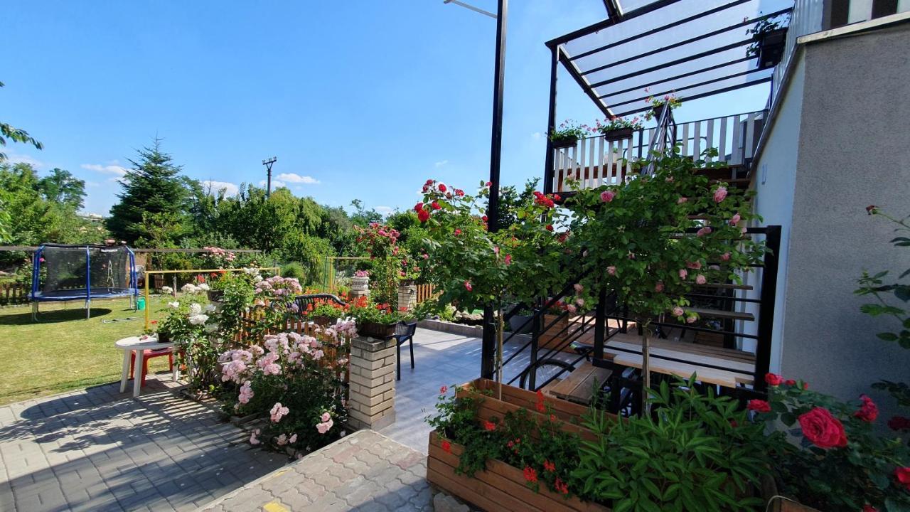 David Home 56 Znojmo Exterior foto