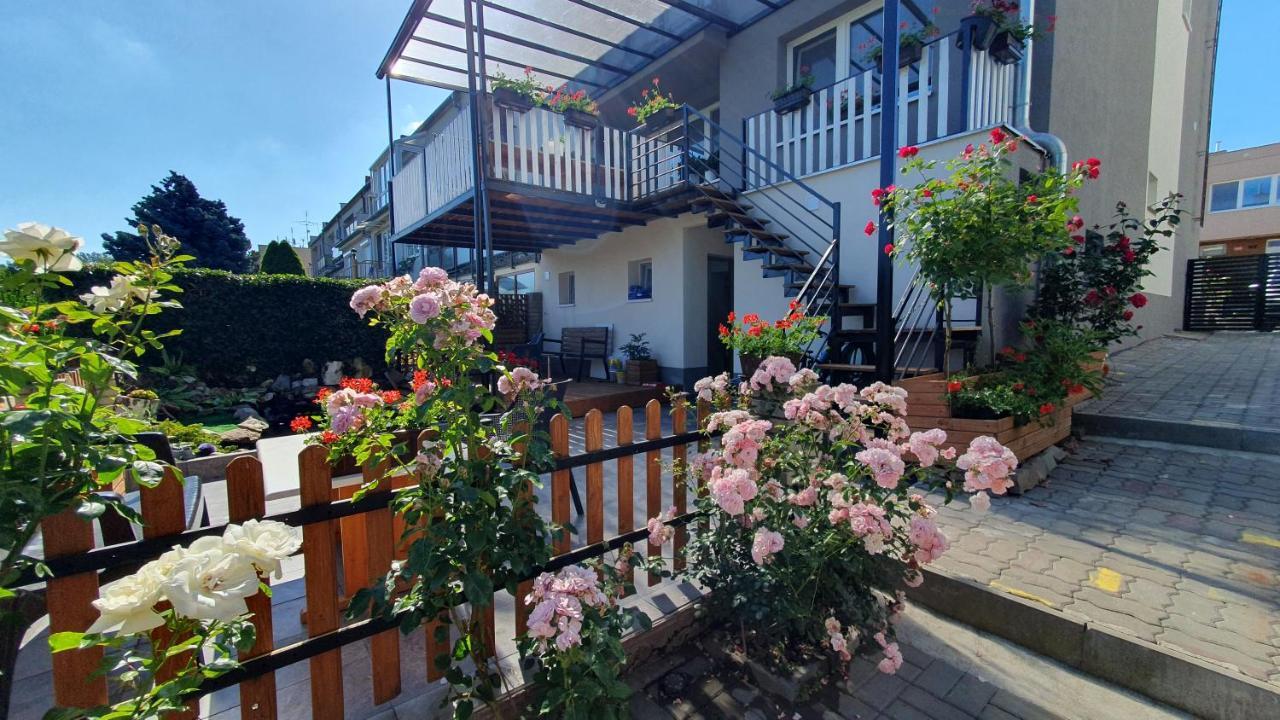 David Home 56 Znojmo Exterior foto